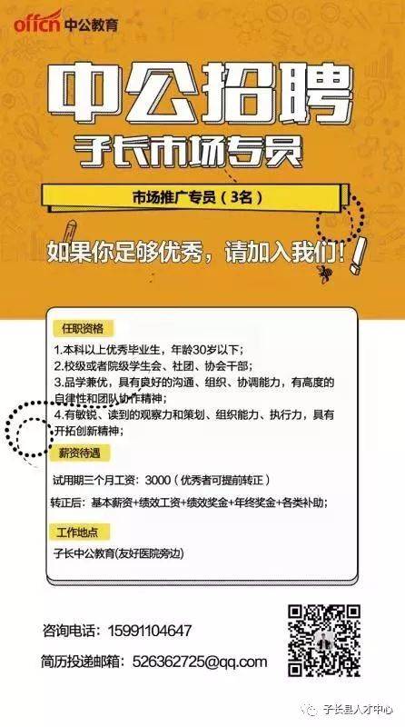 中公最新職位招聘深度解析與觀點(diǎn)闡述