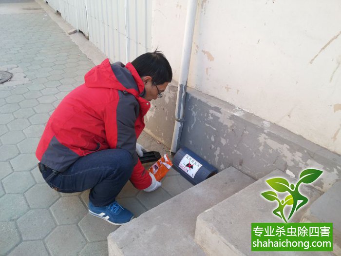 最新滅鼠技術的觀點論述與立場闡述，創(chuàng)新方法的探索與挑戰(zhàn)
