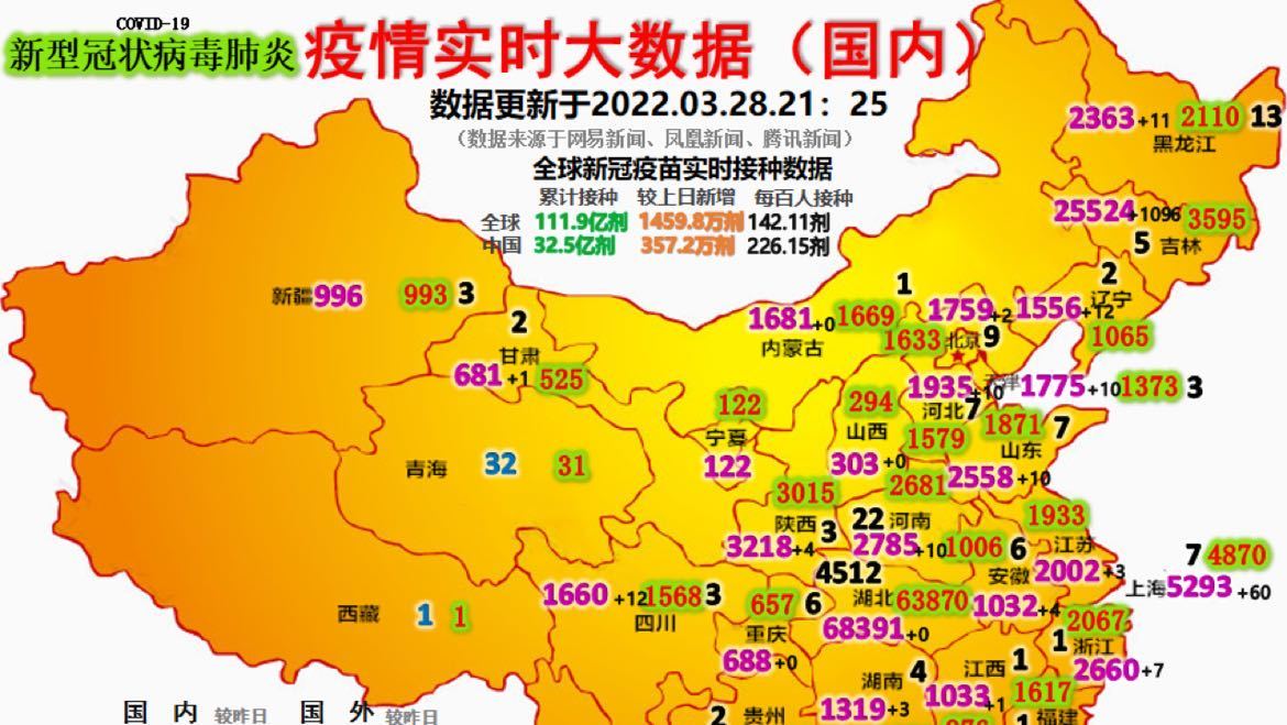 最新疫情動(dòng)態(tài)詳解，初學(xué)者與進(jìn)階用戶的步驟指南
