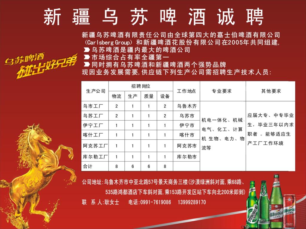 烏蘇政府最新招聘公告，應聘指南全解析