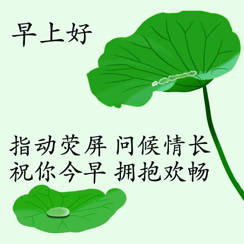 最新疫情動態(tài)下的自然探索之旅，追尋內(nèi)心的平和與寧靜