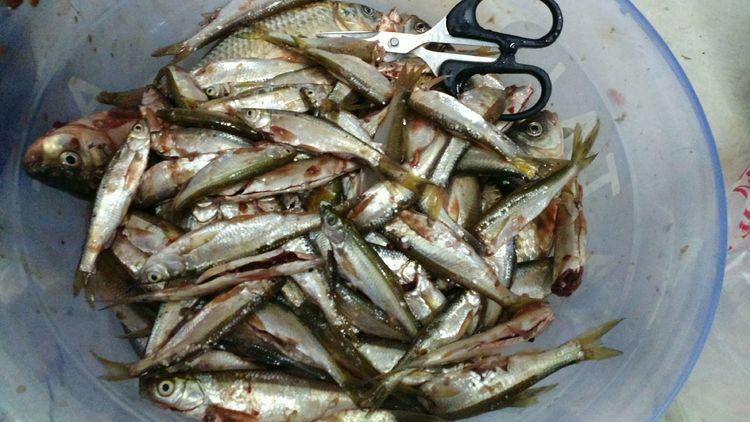 昆明最新野釣地點探索，重拾生活激情與自信的自然之旅
