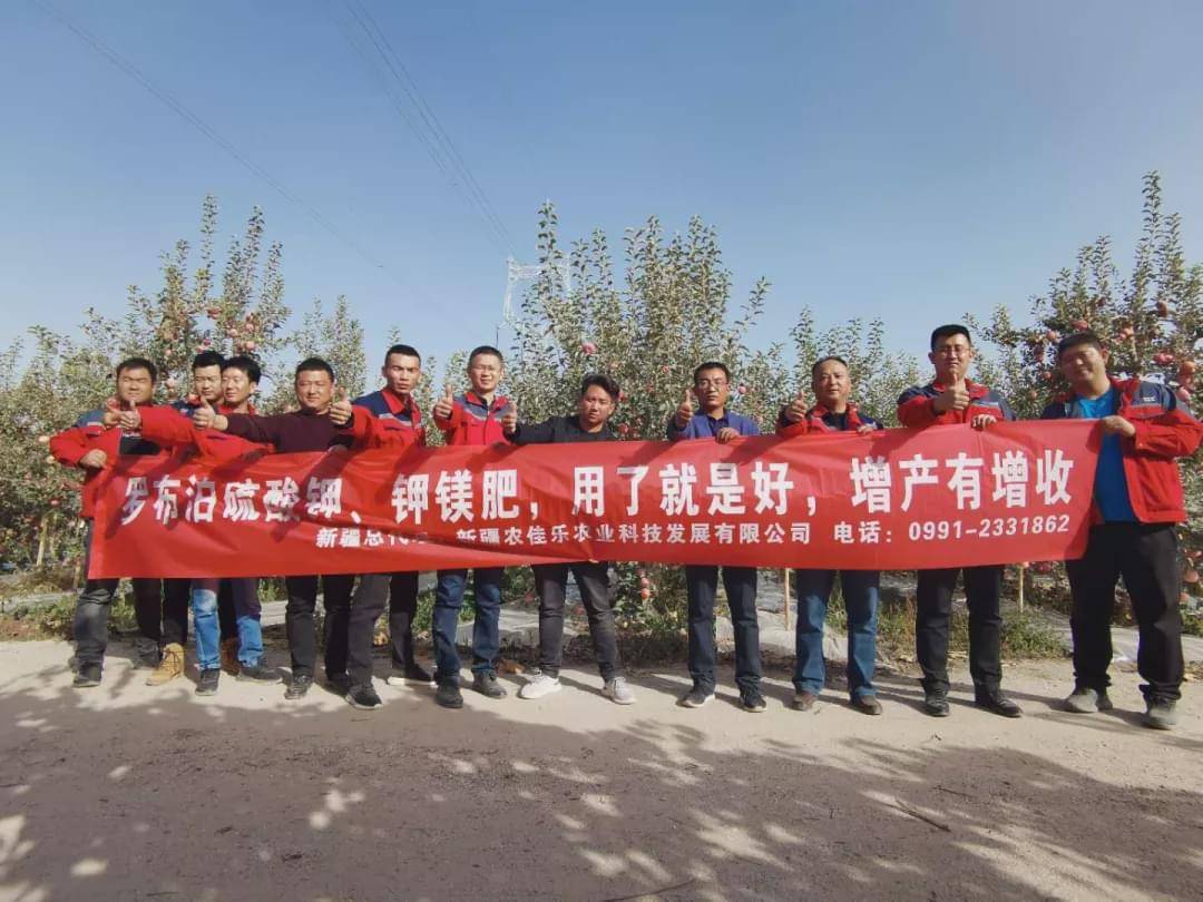 新疆國(guó)投羅鉀最新動(dòng)態(tài)，全面指南與最新發(fā)展概述