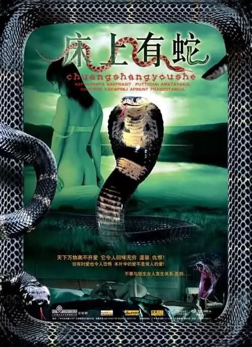 最新蛇片，蛻變的旅程，召喚自信與成就感的冒險(xiǎn)之旅
