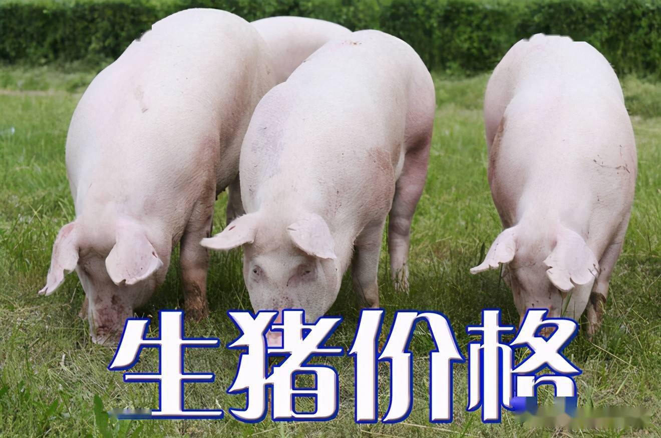 工程廠房燈具 第80頁(yè)