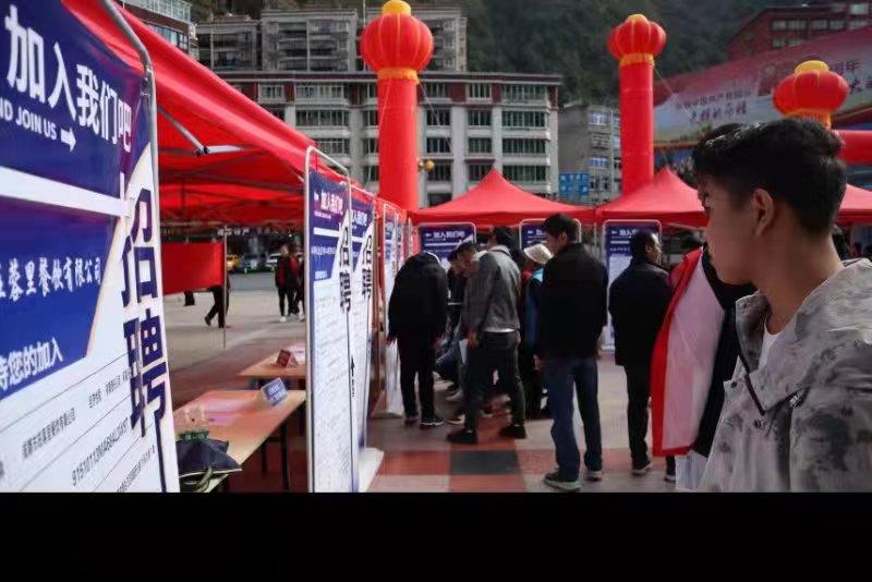 青白江招聘信息探索，小巷中的職業(yè)機(jī)遇