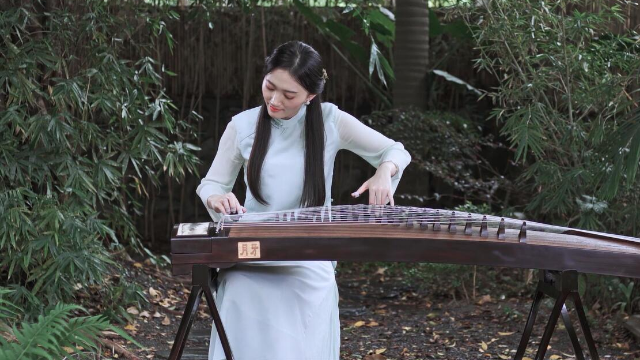抖音最新琵琶演奏，古典與現(xiàn)代的完美融合之美