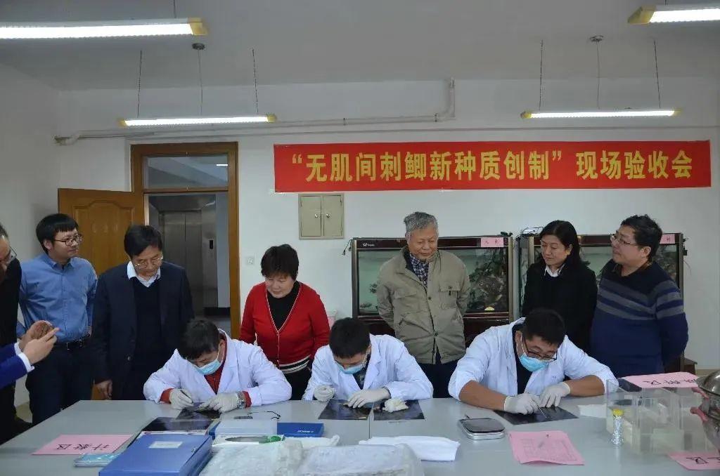侯馬蒲劇團演員列表及角色介紹