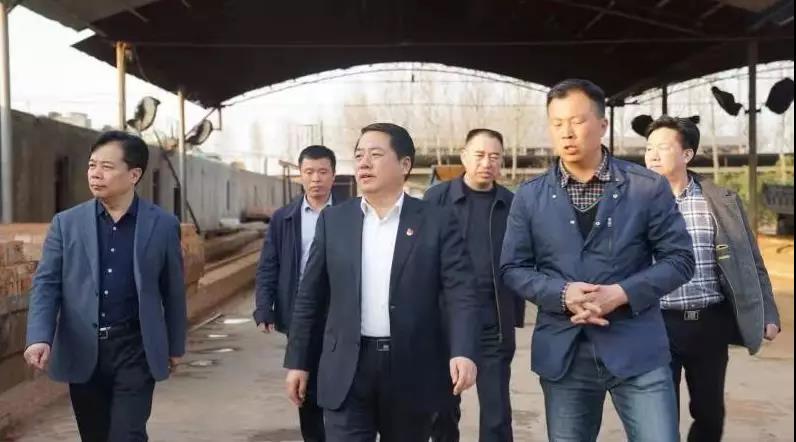 商丘王仲田最新動(dòng)態(tài)，探索自然美景的旅行，尋求內(nèi)心平和之旅
