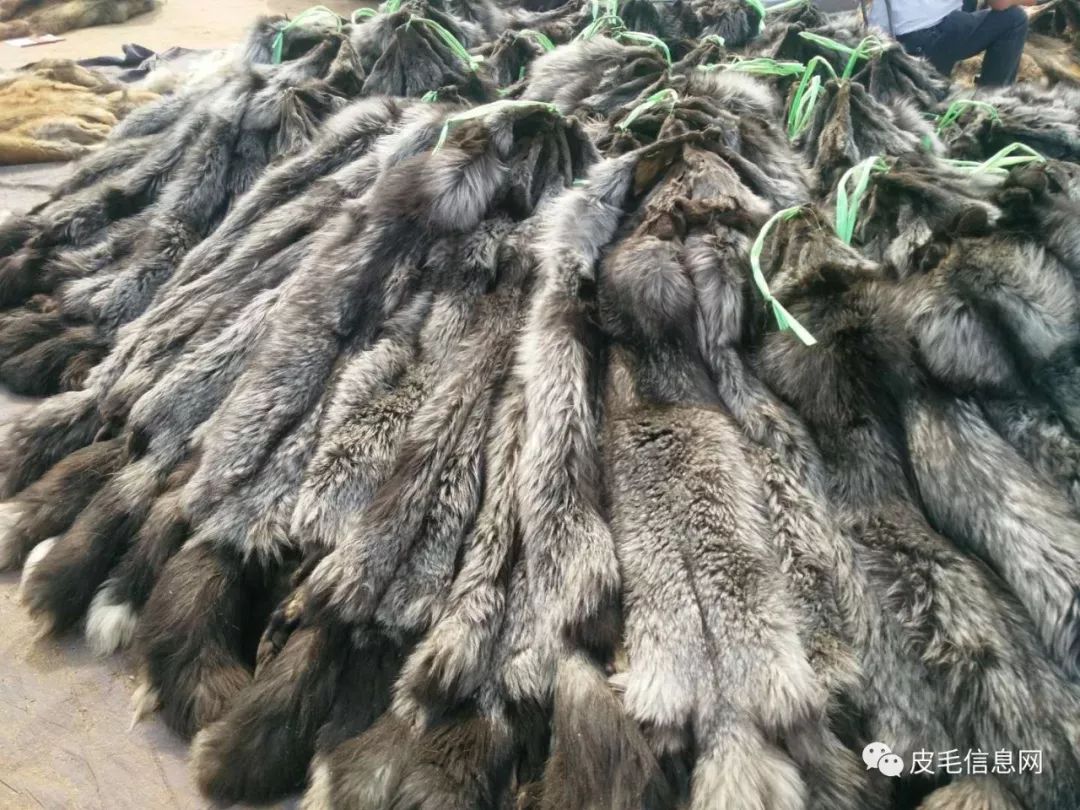 貉皮尚村最新價格，小巷中的時尚皮草寶藏探索