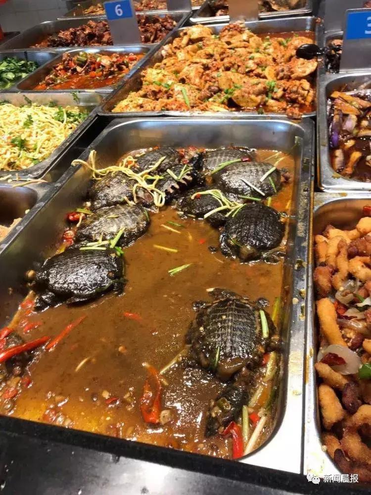 探索食堂美食新潮流，最新食堂菜一覽