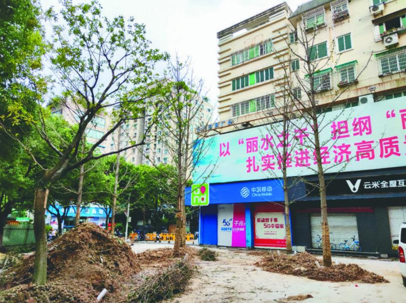 最新吊車網(wǎng)，自然美景之旅與內心平靜的探尋