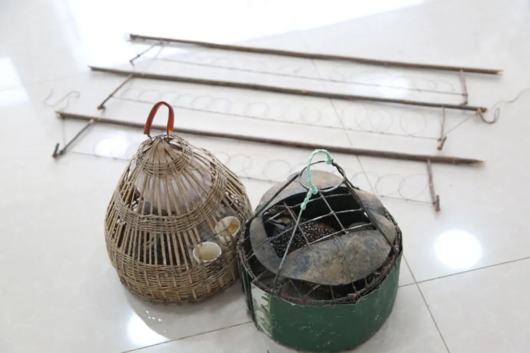 小巷中的神秘寶藏揭秘，最新捕鳥工具揭秘