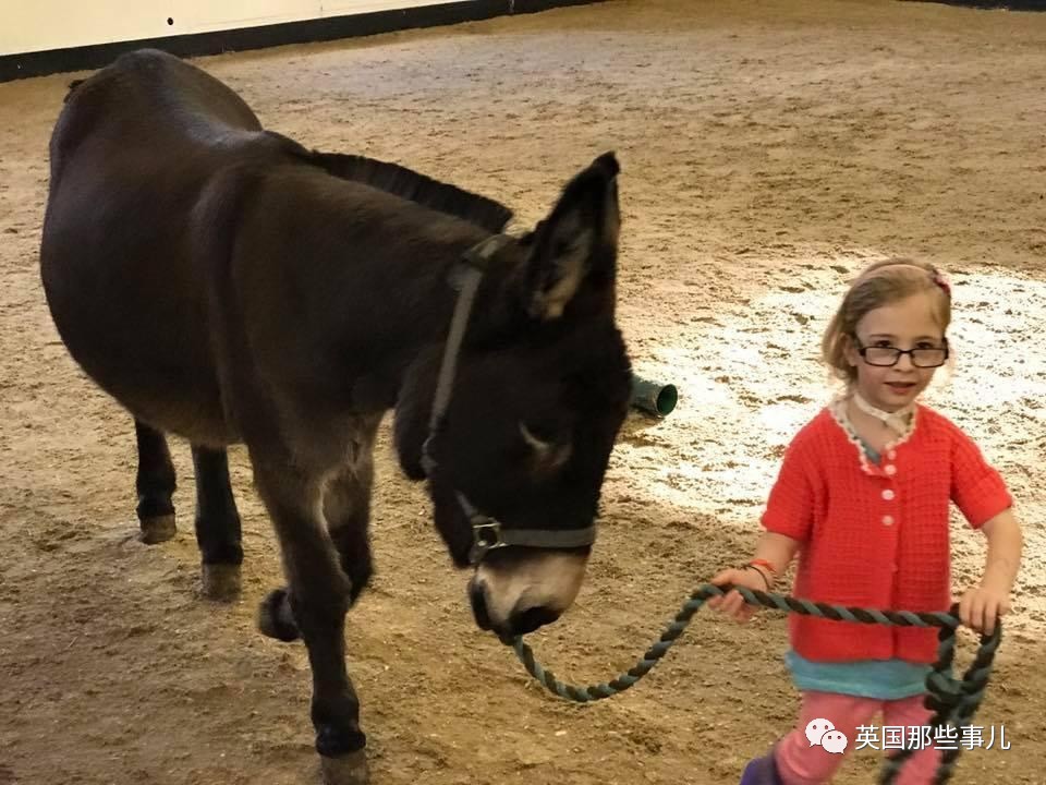 二驢子最新事件揭秘，事件全貌大揭秘！