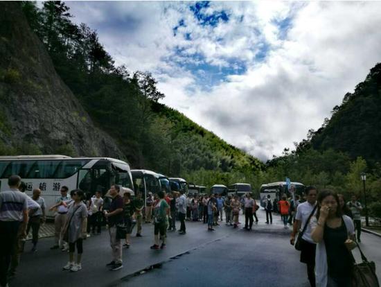 泰順高鐵最新動態(tài)更新，最新消息一覽