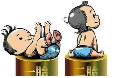 最新雙胞胎補(bǔ)助政策，攜手同行，助力孕育夢(mèng)想之路