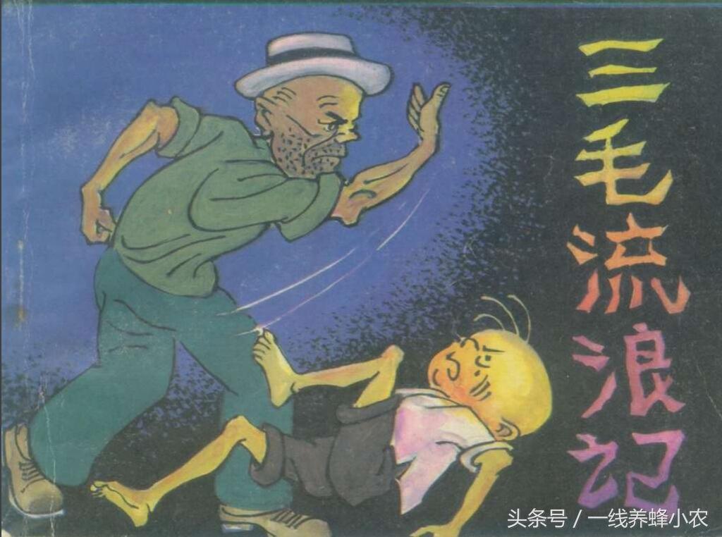 上海三毛最新動態(tài)，自然美景探索之旅啟幕