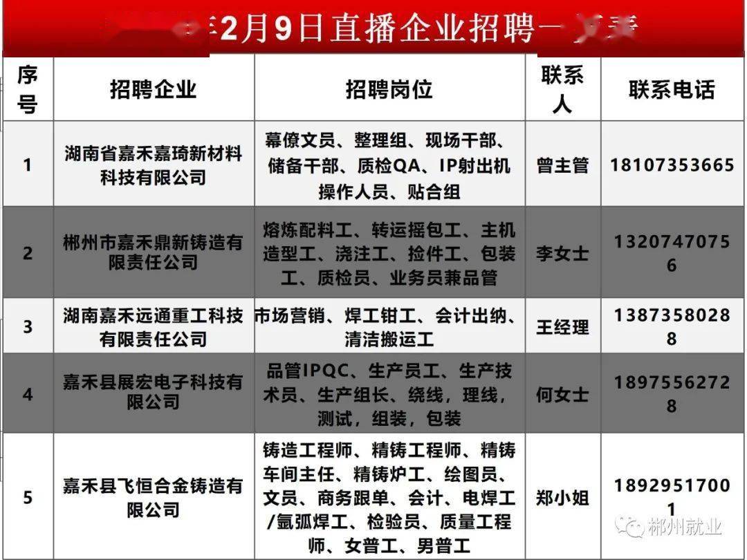 新洲最新招聘信息及動(dòng)態(tài)更新