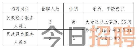 慶陽最新招聘揭秘，小巷中的特色小店，探索未知寶藏的職場之旅