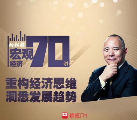 向松祚最新演講解析，學(xué)習(xí)其演講技巧與思想的啟示