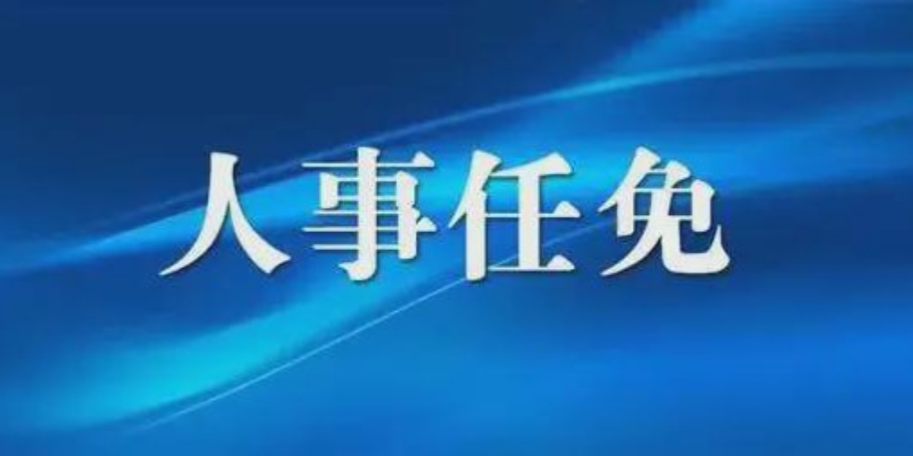 成都人事任免背后的故事，小巷獨(dú)特風(fēng)味小店與城市的脈動(dòng)