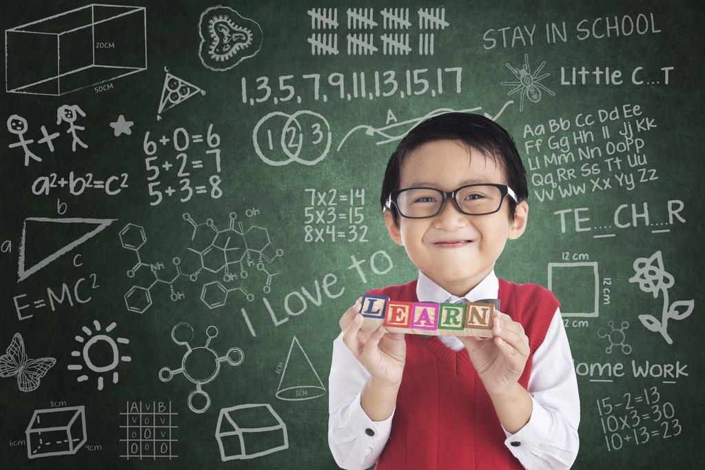 小學(xué)數(shù)學(xué)最新課程標(biāo)準(zhǔn)，深度解析與觀點(diǎn)闡述