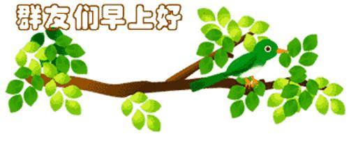最新清晨祝福短信，晨曦中的溫暖問(wèn)候，傳遞美好祝愿與關(guān)懷