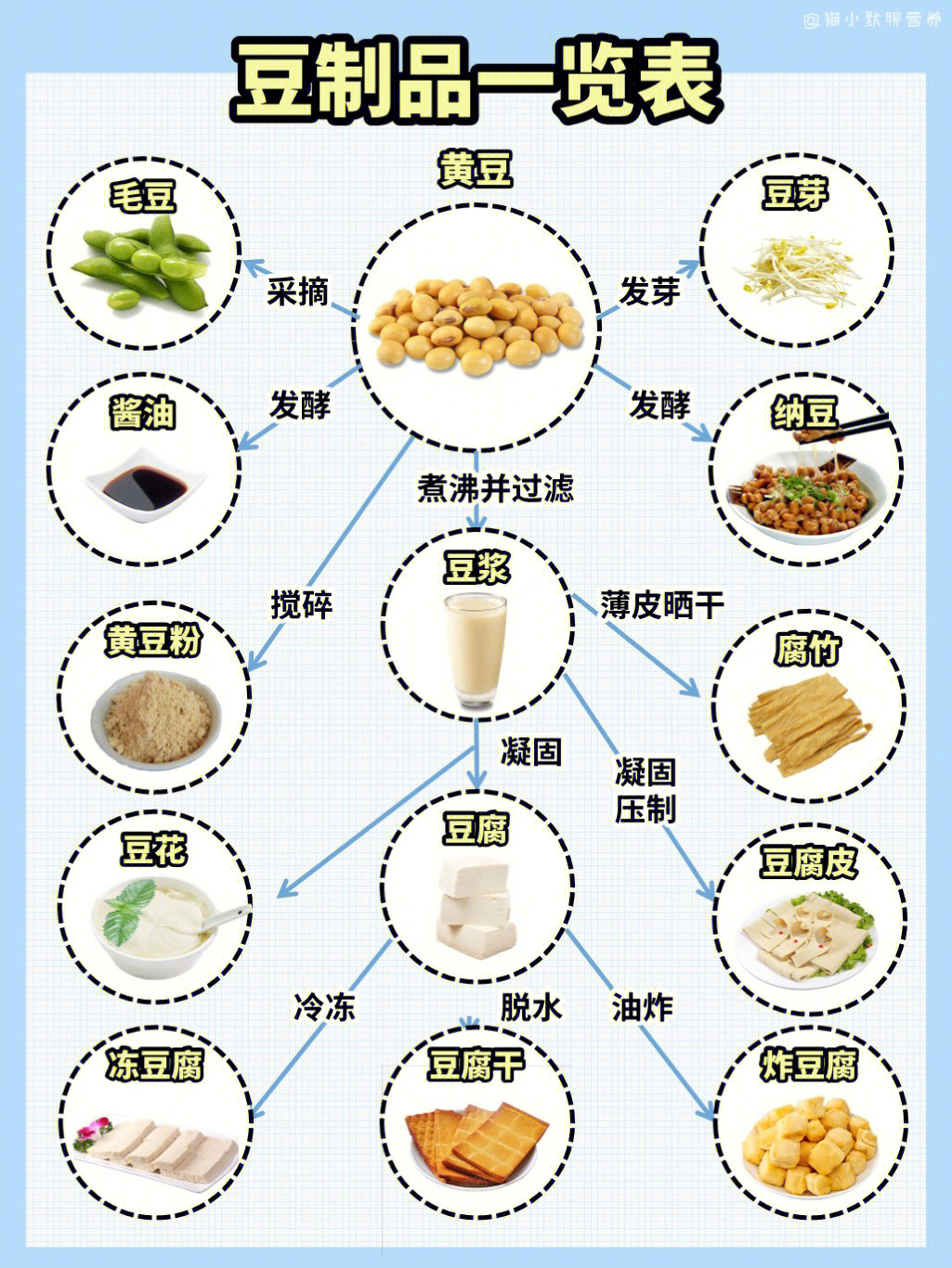 最新豆制品稅率詳解與解析