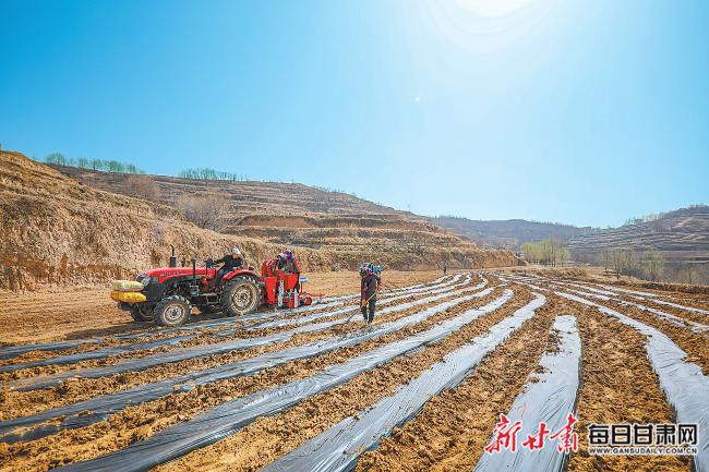運動場館燈具 第8頁