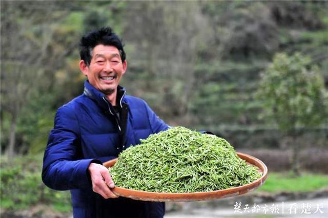 最新夷陵新聞，探索自然美景的旅程，尋覓內心平和之地