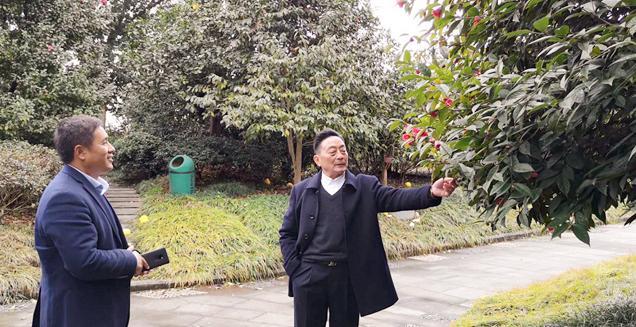最新花木求購，開啟一場(chǎng)尋綠之旅的溫馨旅程