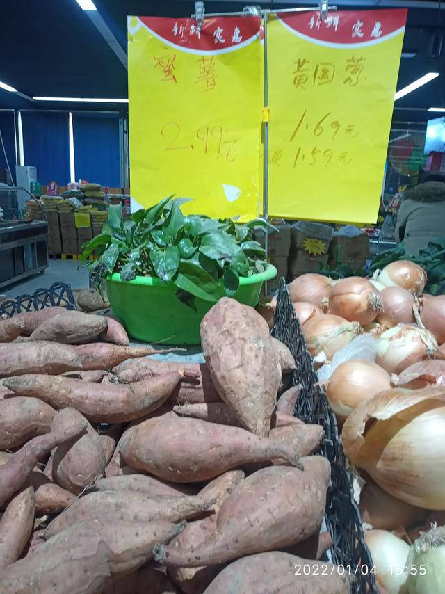 最新地瓜價(jià)格解析，查詢指南與任務(wù)攻略