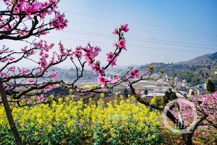 合川最新科技新聞，高科技產(chǎn)品引領未來生活潮流