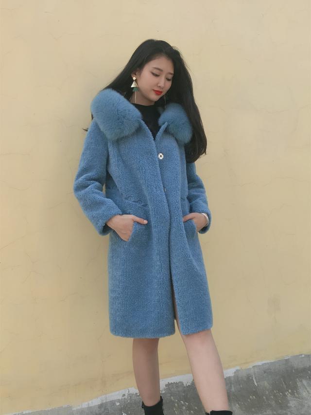 三七花最新價格揭秘，溫馨小故事中的尋找之旅