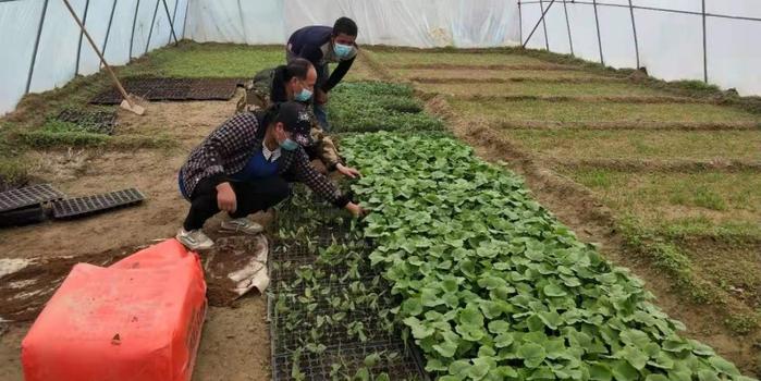 策勒最新招聘啟航人才新篇章，學(xué)習(xí)變化，擁抱自信與成就，啟程人生新征程！