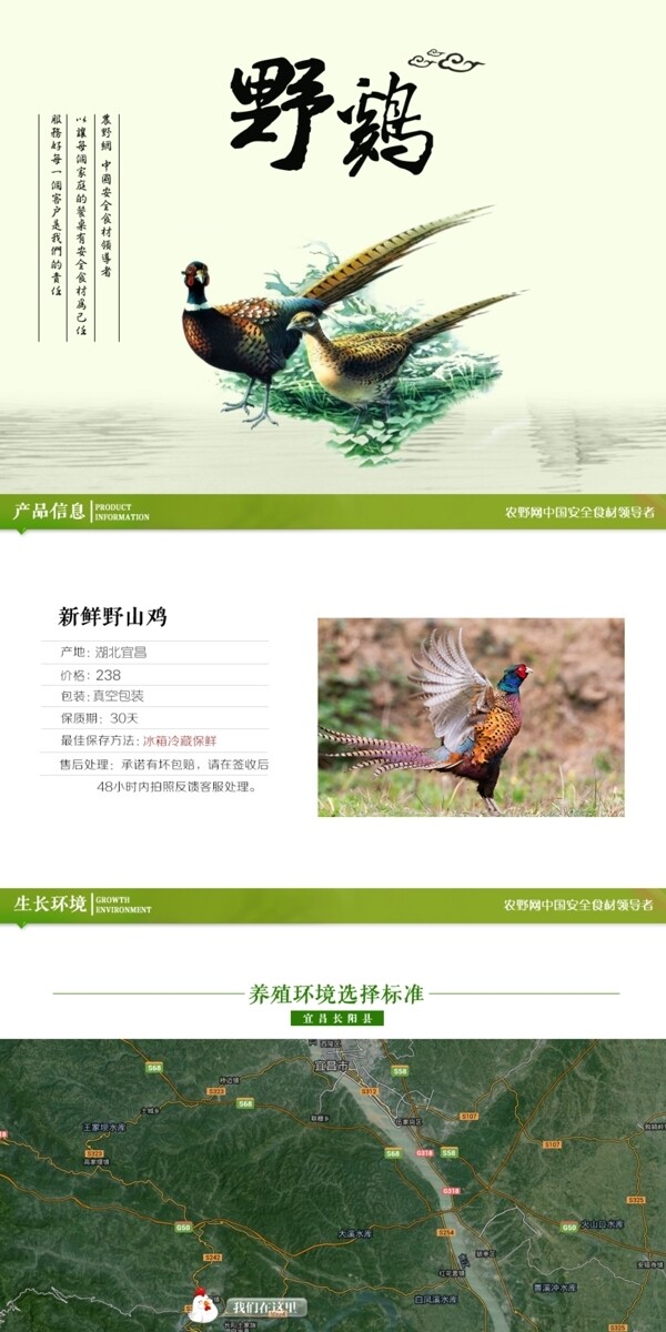 深度剖析，最新山雞的背景、事件與地位概述