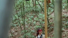 原野小年最新風(fēng)情，小巷深處的獨特魅力