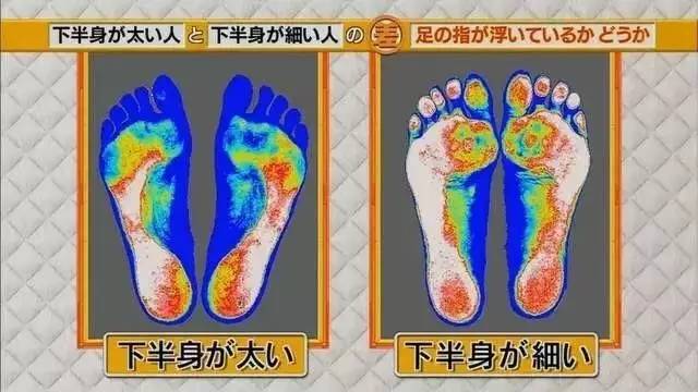 最新地趾論述，探索、爭(zhēng)議與觀點(diǎn)綜述
