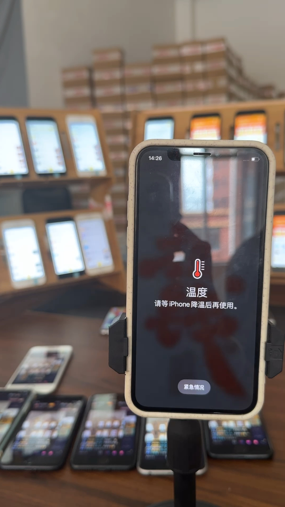 蘋果最新直播，科技與文化的完美融合盛宴