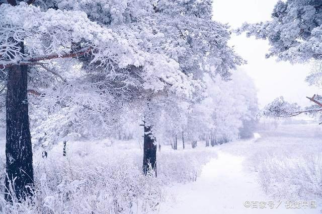 冬日暖陽(yáng)下的溫馨日常，最新冬美文精選