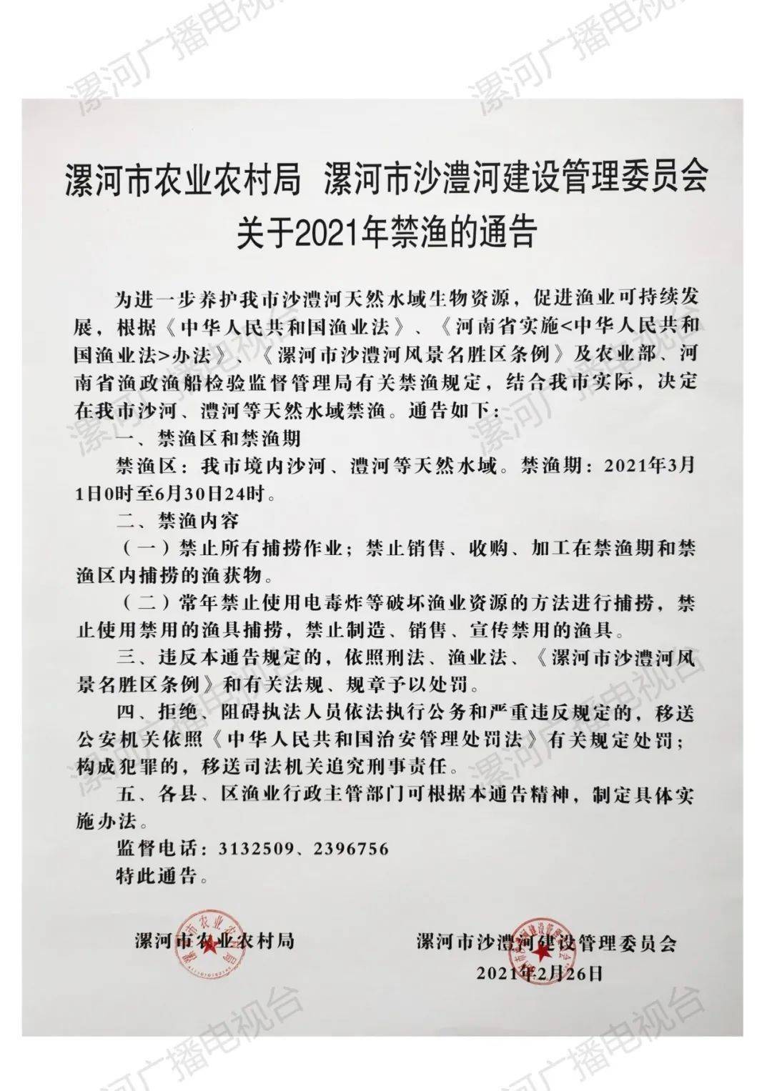 漯河最新通告，探索自然美景，尋覓內(nèi)心寧靜與平和之旅