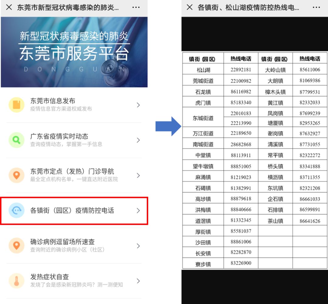 東莞最新疫情狀況，逆風(fēng)翱翔，用知識(shí)守護(hù)夢(mèng)想健康