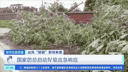 超強臺風(fēng)鸚鵡來襲，最新路徑動態(tài)全解析???